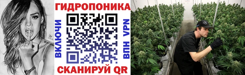 МАРИХУАНА SATIVA & INDICA  купить наркотики сайты  Сертолово 